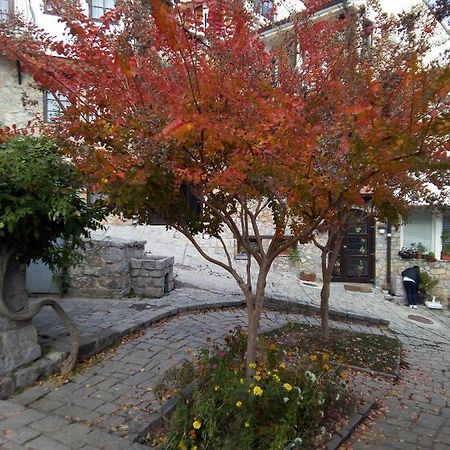 Guest Room At Number Nine Ohrid Bagian luar foto